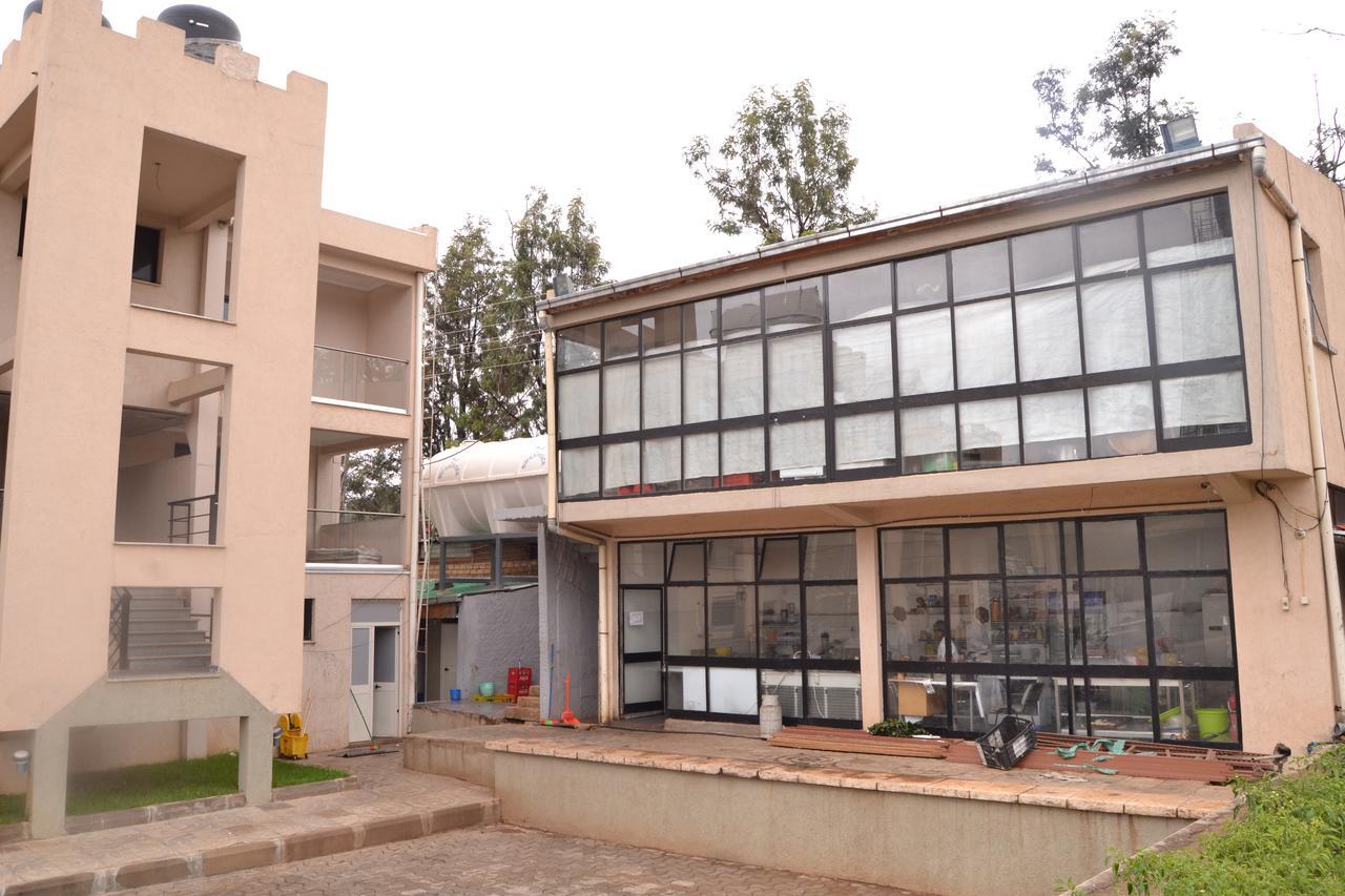 Grand Gato Hotel And Tours Harar Екстериор снимка